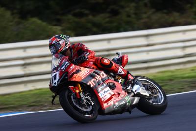 Nicolo Bulega, 2024 Estoril WorldSBK. Credit: Gold and Goose.